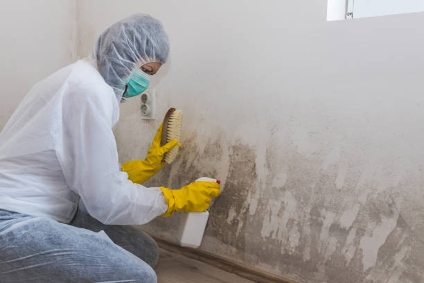 Best Crawl Space Mold Removal  in West Point, GA