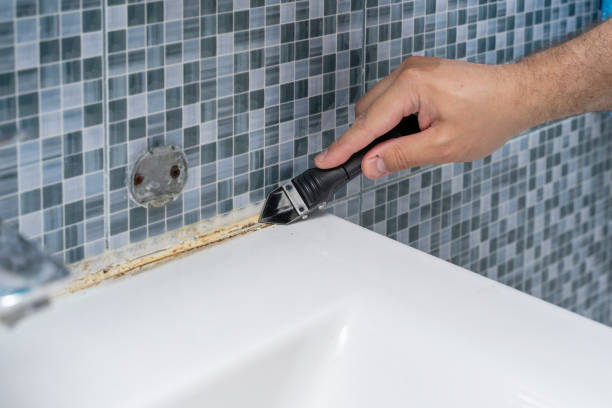 Office Mold Removal Services in West Point, GA
