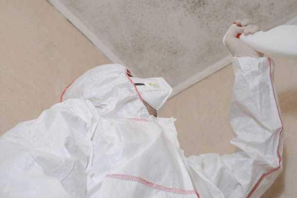 Best Mold Testing  in West Point, GA