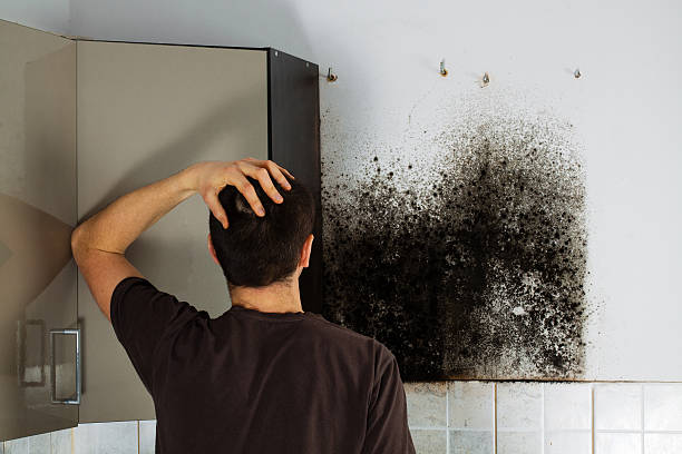 Best Residential Mold Removal  in West Point, GA